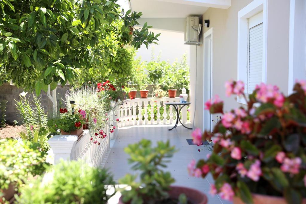 Guest House Narta Вльора Екстер'єр фото